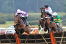 Market Rasen Races (6 Feb18)