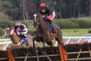 Race 3 - Cabernet D Alene (4)
