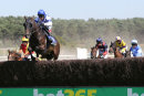 Race 3 - Call To Order (2)