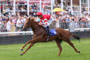 Race 3 - Choosey (10)