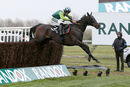 Race 3 - Clan Des Obeaux (3)