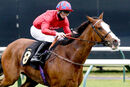 Race 3 - Cochise (10)