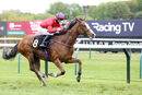 Race 3 - Cochise (11)