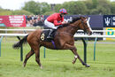 Race 3 - Cochise (12)