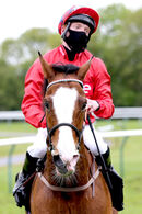 Race 3 - Cochise (17)