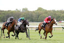 Race 3 - Cochise (8)
