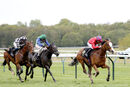 Race 3 - Cochise (9)