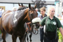 Race 3 - Collodi (10)