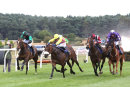 Race 3 - Collodi (7)