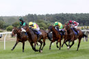 Race 3 - Collodi (9)