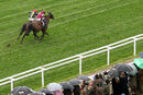 Race 3 - Commander of Fleet (8)