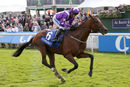 Race 3 - Coolagh Forest (2)