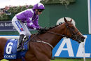 Race 3 - Coolagh Forest (3)