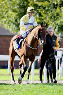 Race 3 - Danny Ocean (2)