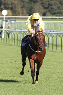 Race 3 - Danny Ocean (7)