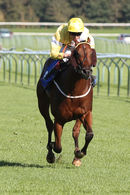 Race 3 - Danny Ocean (8)
