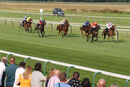Race 3 - De Mazzaro (3)