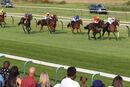 Race 3 - De Mazzaro (4)