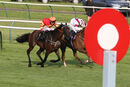 Race 3 - De Mazzaro (5)