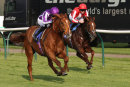 Race 3 - Department Of War (5)