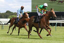 Race 3 - Didtheyleaveuoutto (10)