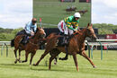 Race 3 - Didtheyleaveuoutto (11)