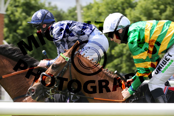 Race 3 - Didtheyleaveuoutto (2)