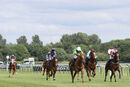 Race 3 - Didtheyleaveuoutto (5)