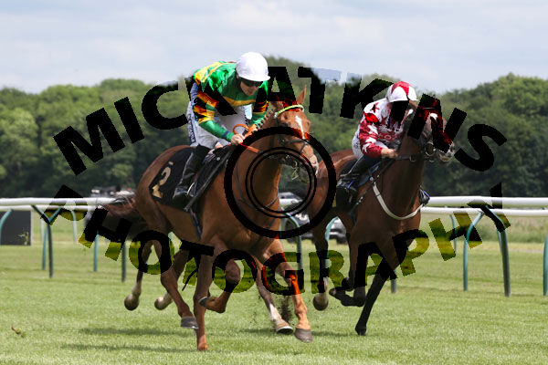 Race 3 - Didtheyleaveuoutto (7)