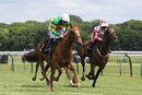 Race 3 - Didtheyleaveuoutto (7)