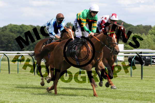 Race 3 - Didtheyleaveuoutto (8)