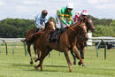 Race 3 - Didtheyleaveuoutto (8)