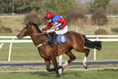 Race 3 - Dino Velvet (10)