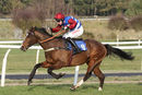 Race 3 - Dino Velvet (11)