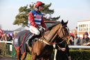Race 3 - Dino Velvet (13)