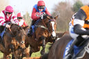 Race 3 - Dino Velvet (3)