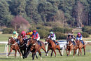 Race 3 - Dino Velvet (4)