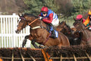 Race 3 - Dino Velvet (5)