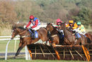 Race 3 - Dino Velvet (7)