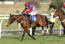 Race 3 - Dino Velvet (8)