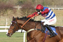Race 3 - Dino Velvet (9)