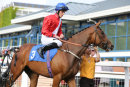 Race 3 - Divinity (2)