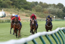 Race 3 - Divinity (3)