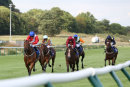 Race 3 - Divinity (4)