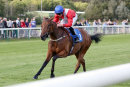 Race 3 - Divinity (8)