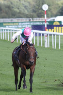 Race 3 - Equilateral (2)