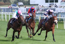 Race 3 - Equilateral (3)