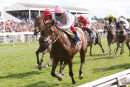 Race 3 - Expert Eye (3)008
