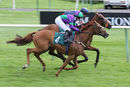Race 3 - Eye Of The Storm (10)