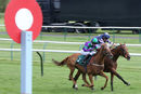 Race 3 - Eye Of The Storm (4)